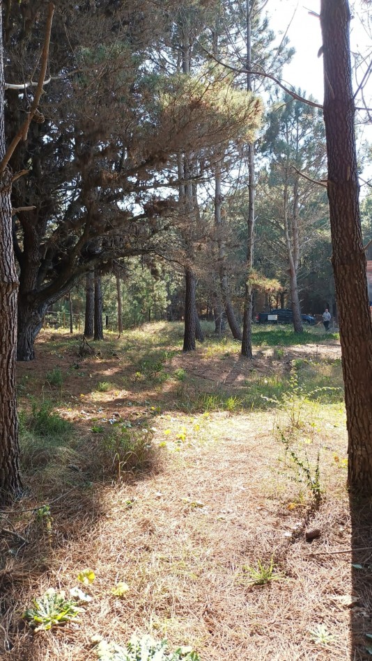 INMEJORABLE TERRENO MULTIFAMILIAR  EN AGUAS VERDES EN VENTA .TOMAMOS VEHICULOS