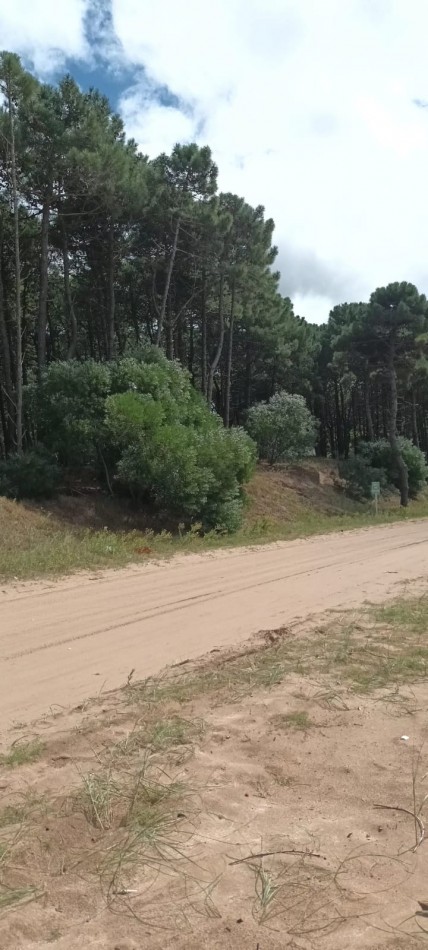 TERRENO EN VENTA EN PINAMAR.IMPERDIBLE