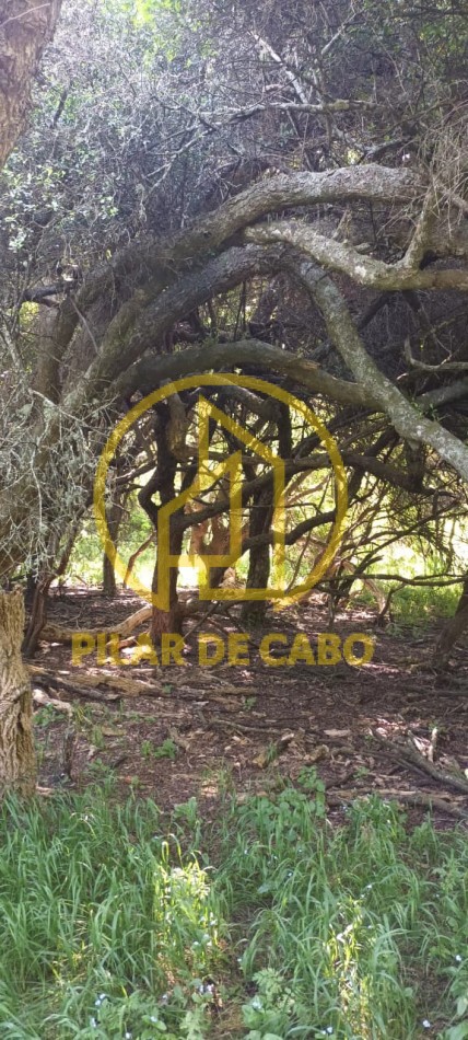 Chacra en venta en Laguna del Rosario a minutos de Pinamar