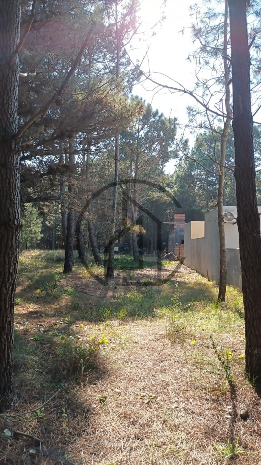 INMEJORABLE TERRENO MULTIFAMILIAR  EN AGUAS VERDES EN VENTA .TOMAMOS VEHICULOS