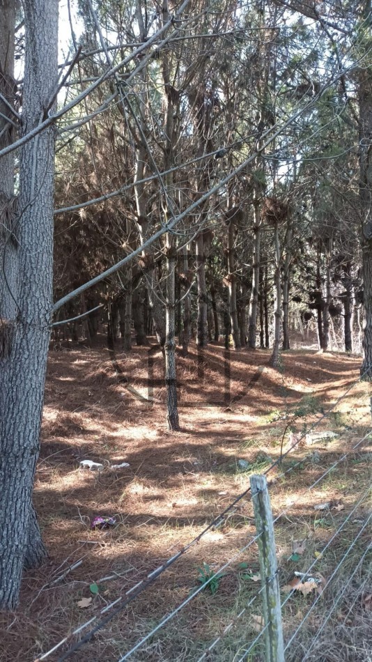 INMEJORABLE TERRENO MULTIFAMILIAR  EN AGUAS VERDES EN VENTA .TOMAMOS VEHICULOS