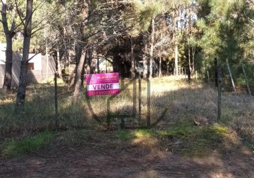 INMEJORABLE TERRENO MULTIFAMILIAR  EN AGUAS VERDES EN VENTA .TOMAMOS VEHICULOS
